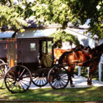Amish Buggies in Summer